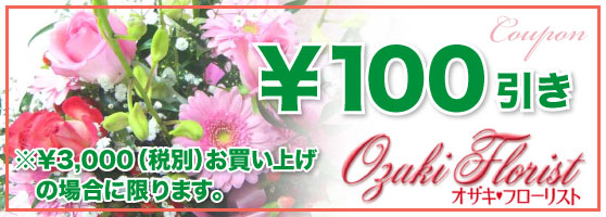 クーポン：100円引き